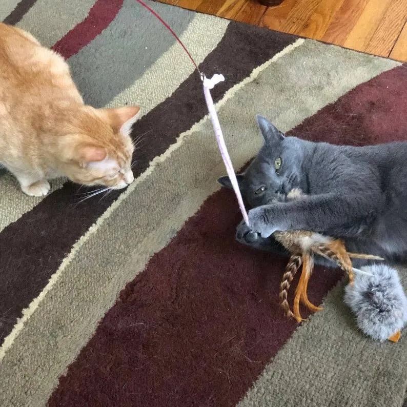 Cat-Fishing Retractive Pole Toy (CFPT-036)
