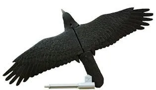 Crow with Wings