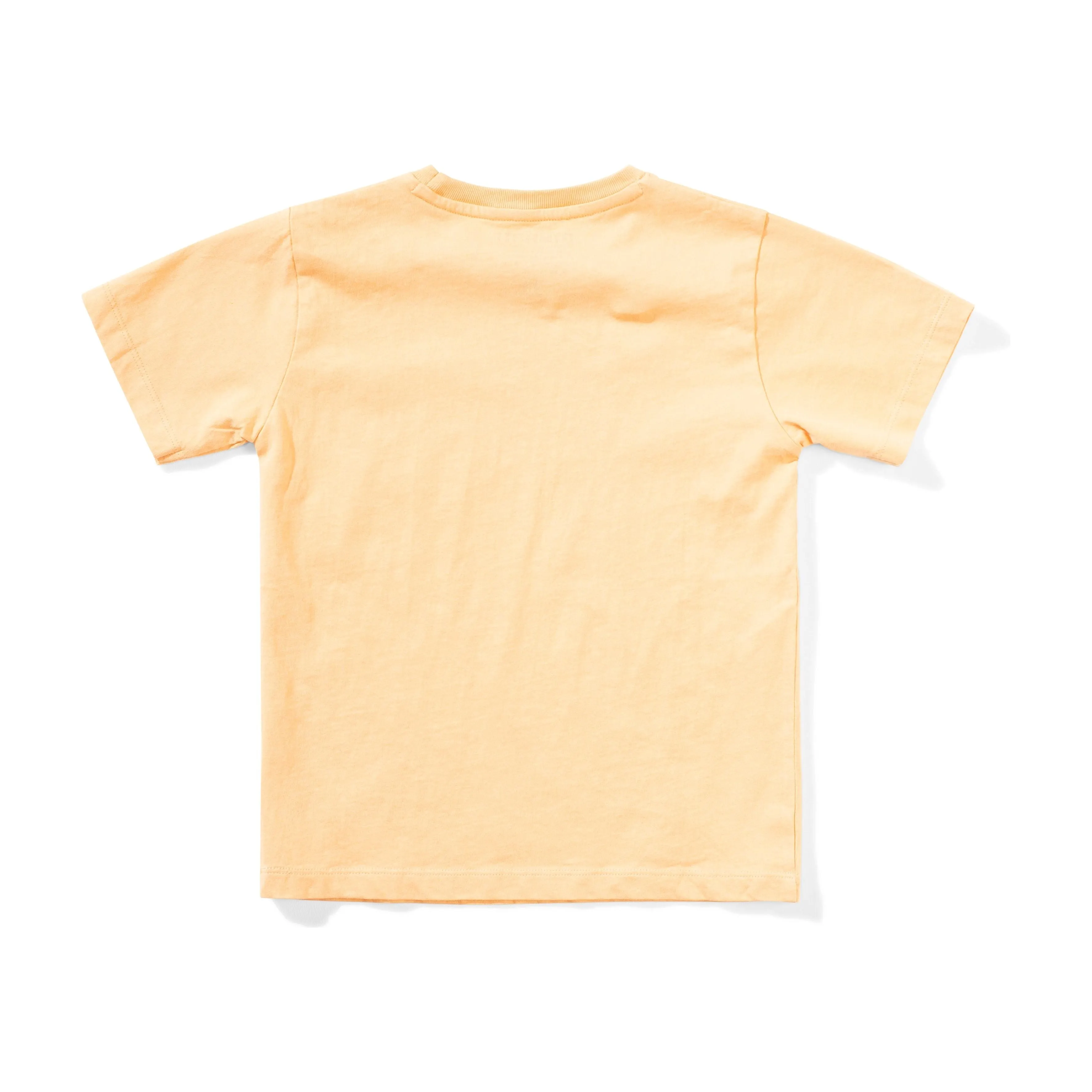 Dreampkt Ss Tee - Peach
