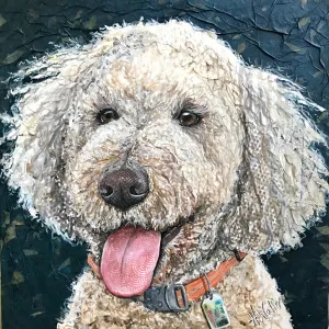 Emerson - Goldendoodle