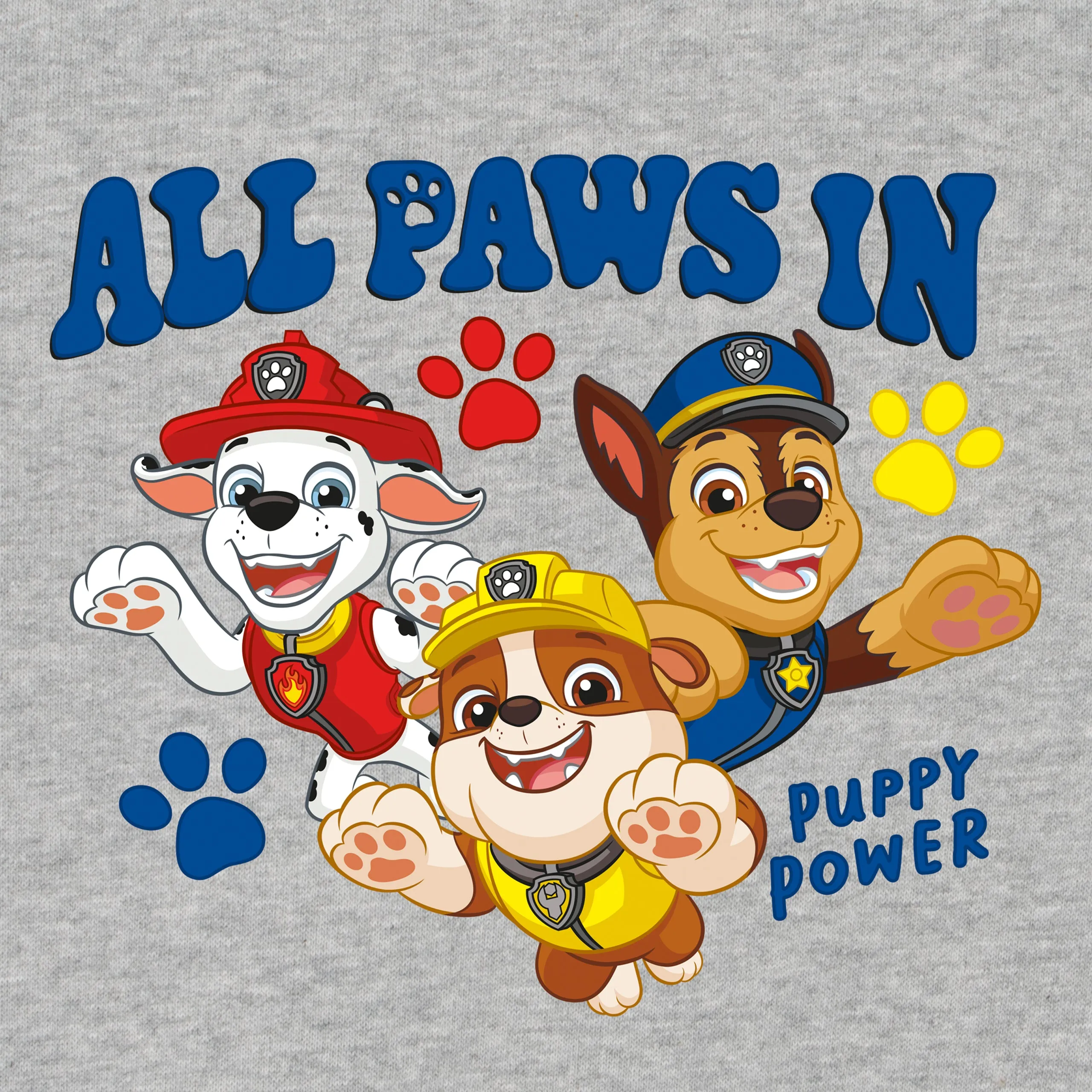 PAW Patrol Sweatshirt - All Paws In