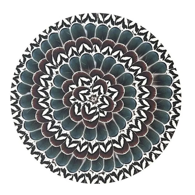 Pheasant Feather Wooden Placemats, Set of 4