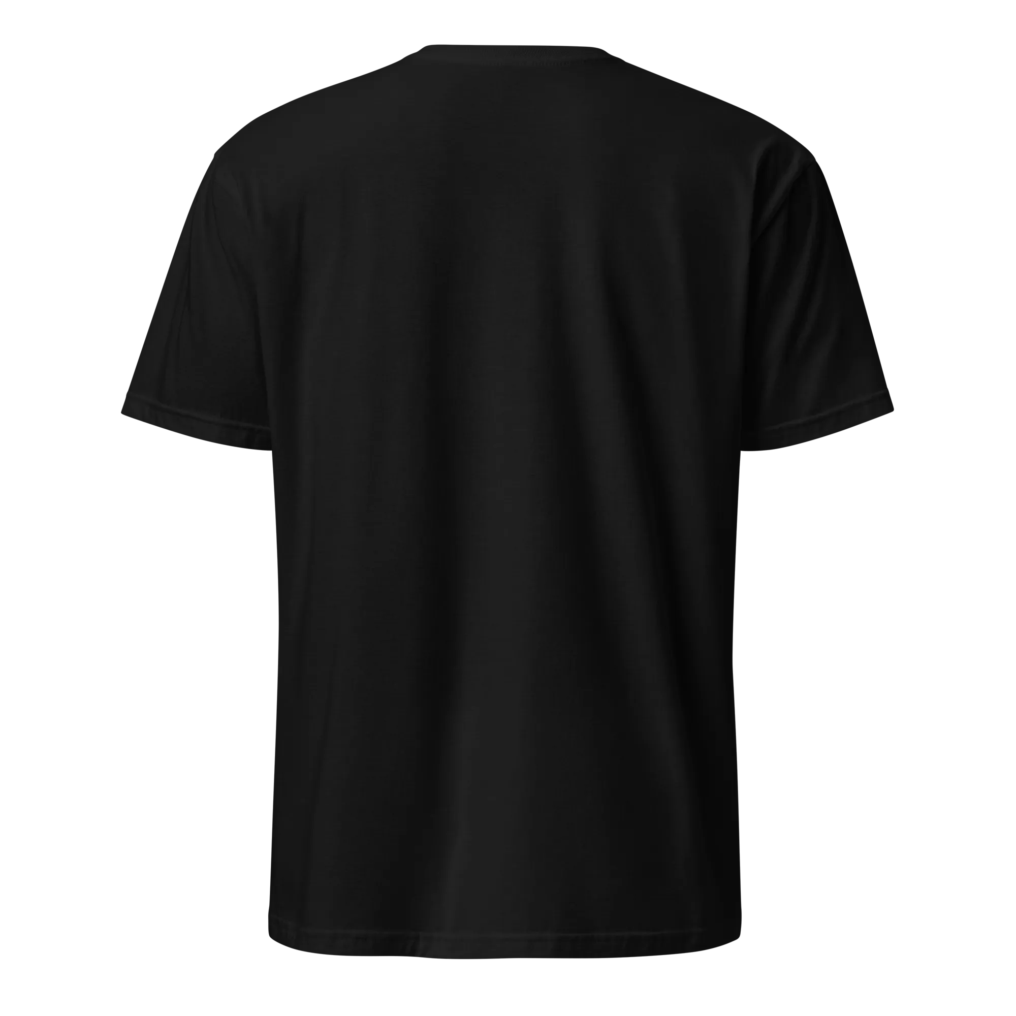 Raised On Queso Frito Unisex Dominican T-Shirt